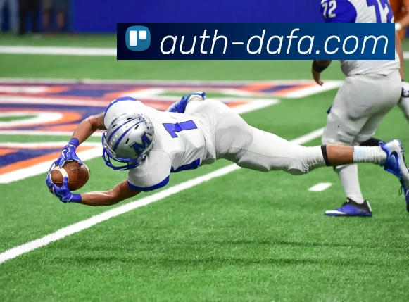 大发彩票APP 封面图